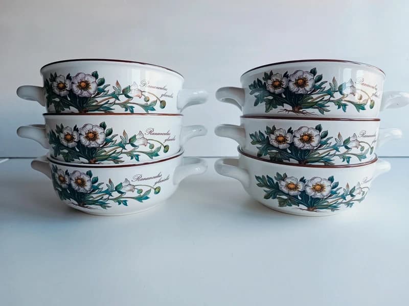 Lot de 6 bols à soupe à anses Villeroy & Boch Botanica